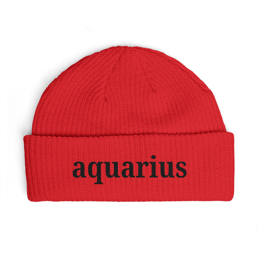 Aquarius Cuff Beanie