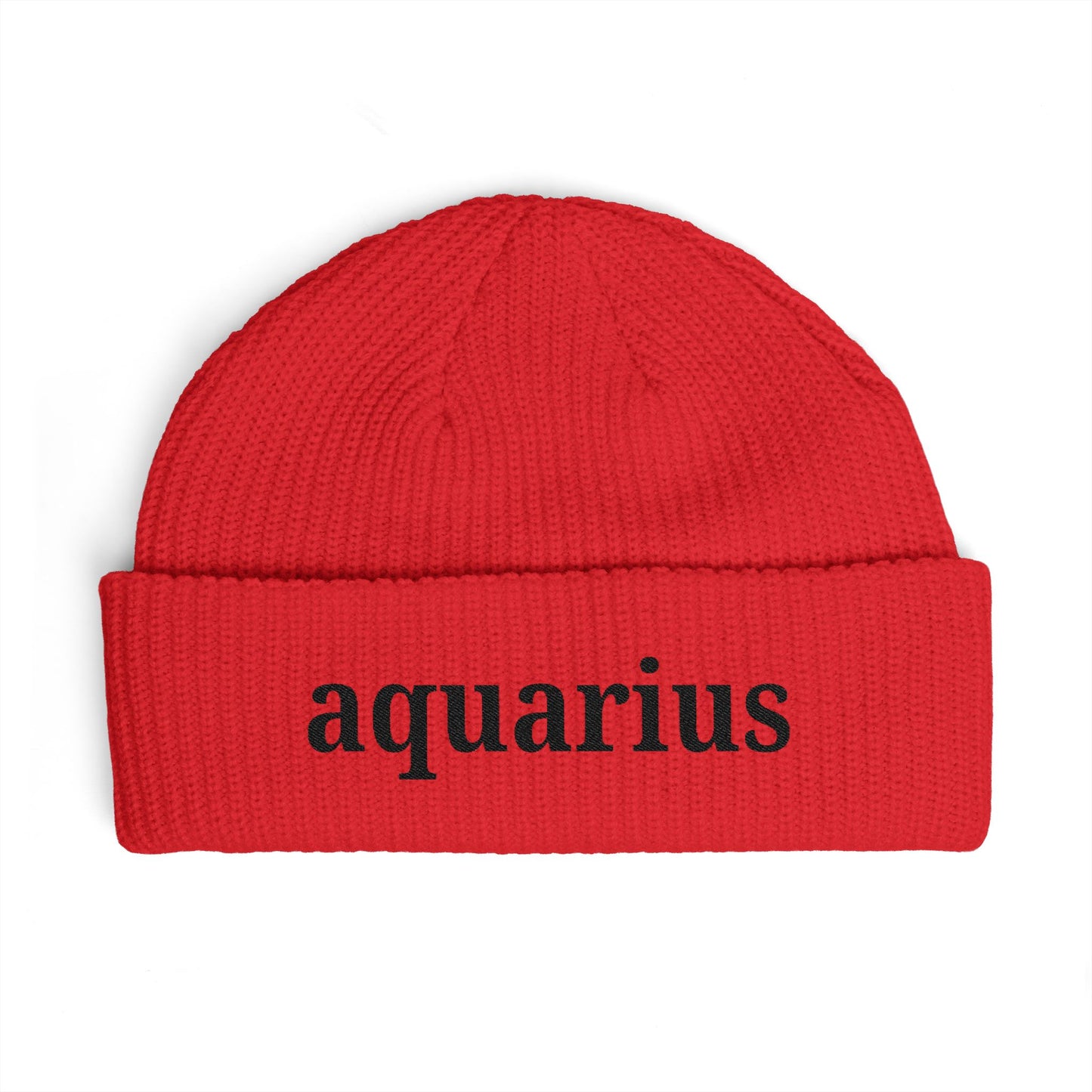Aquarius Cuff Beanie